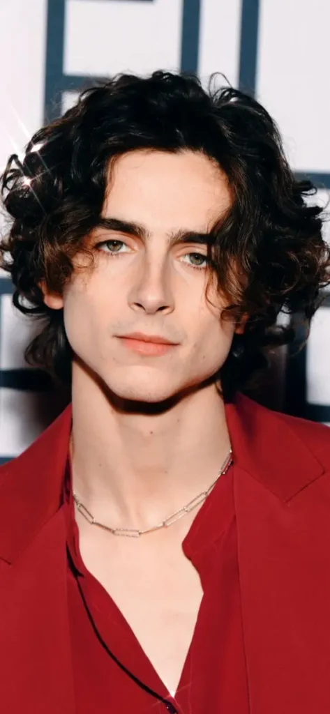 Timothée Chalamet